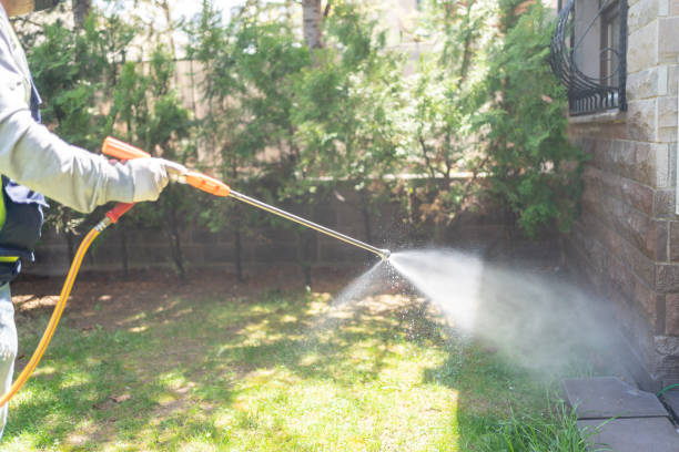 Best Cockroach Control Services  in Montz, LA