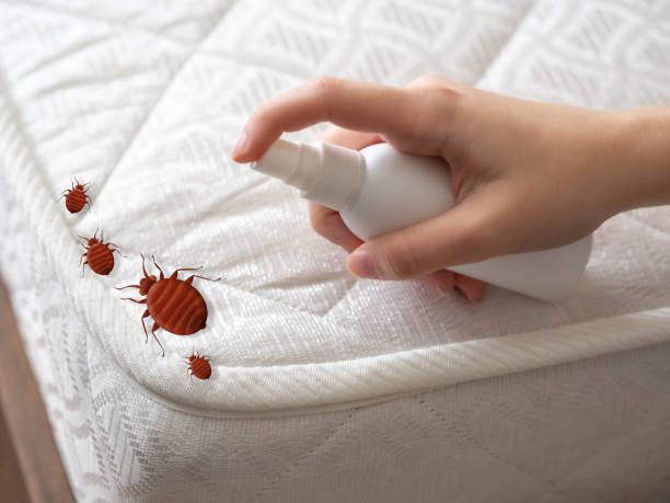 Best Ant Control Services  in Montz, LA